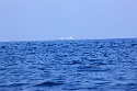 17 First Ship